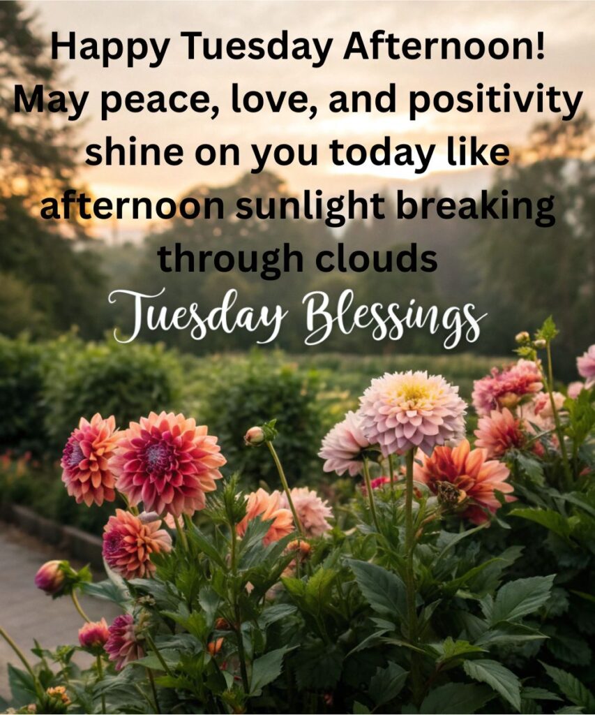 good-afternoon-tuesday-blessings