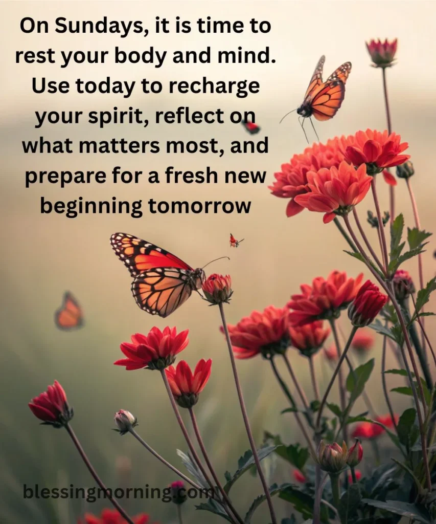cute-and-heartwarming-sunday-blessings-messages