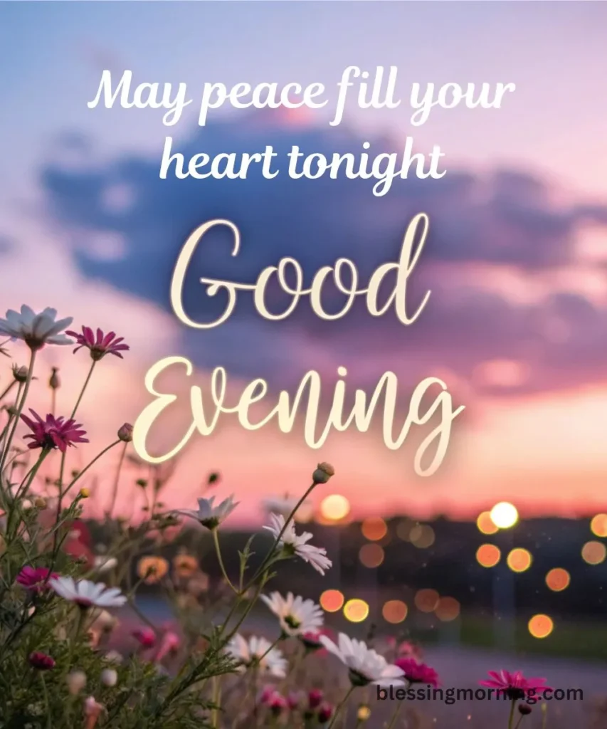 ready-to-use-good-evening-messages-collection